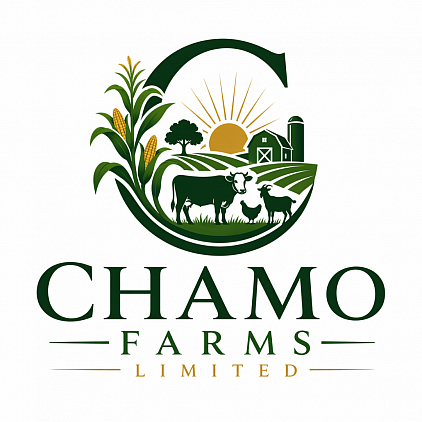 CHAMO FARMS LIMITED specializes in crop production, livestock farming, and agribusiness services. We provide quality agricultural products and promote sustainable farming practices to support food security and economic development in Nigeria.